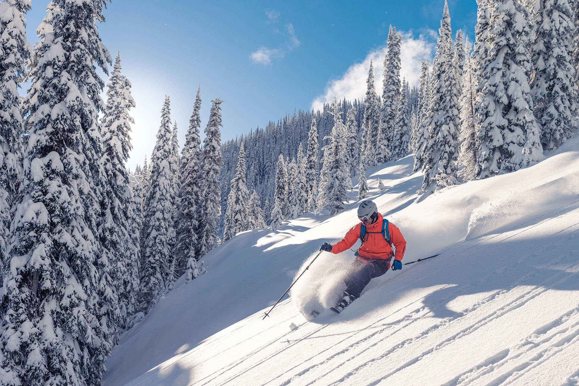 person skiing in a forest