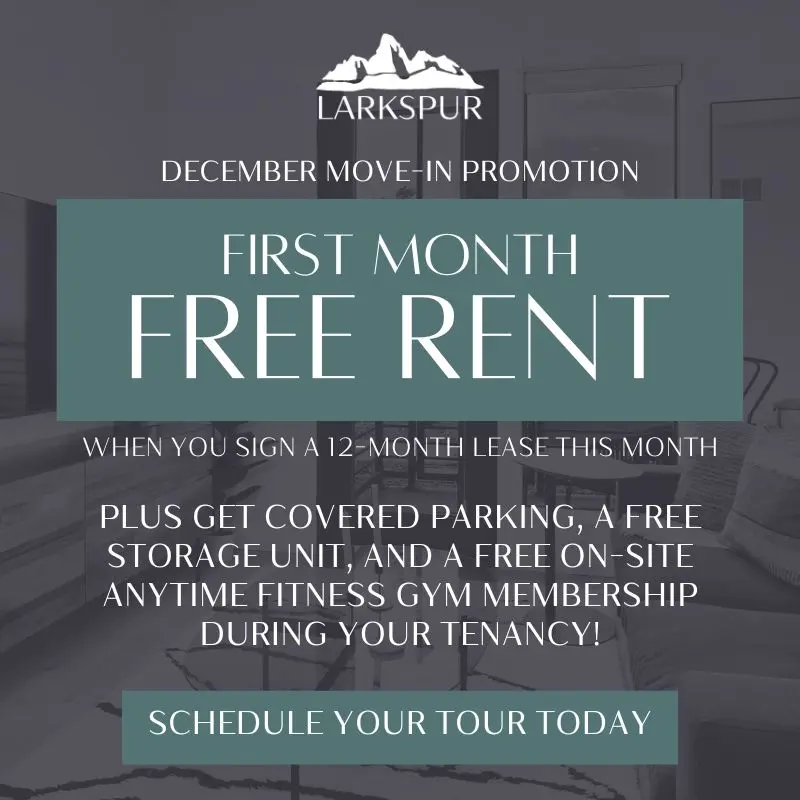 December promo - first month free, free storage, free parking, free Anytime Fitness membership
