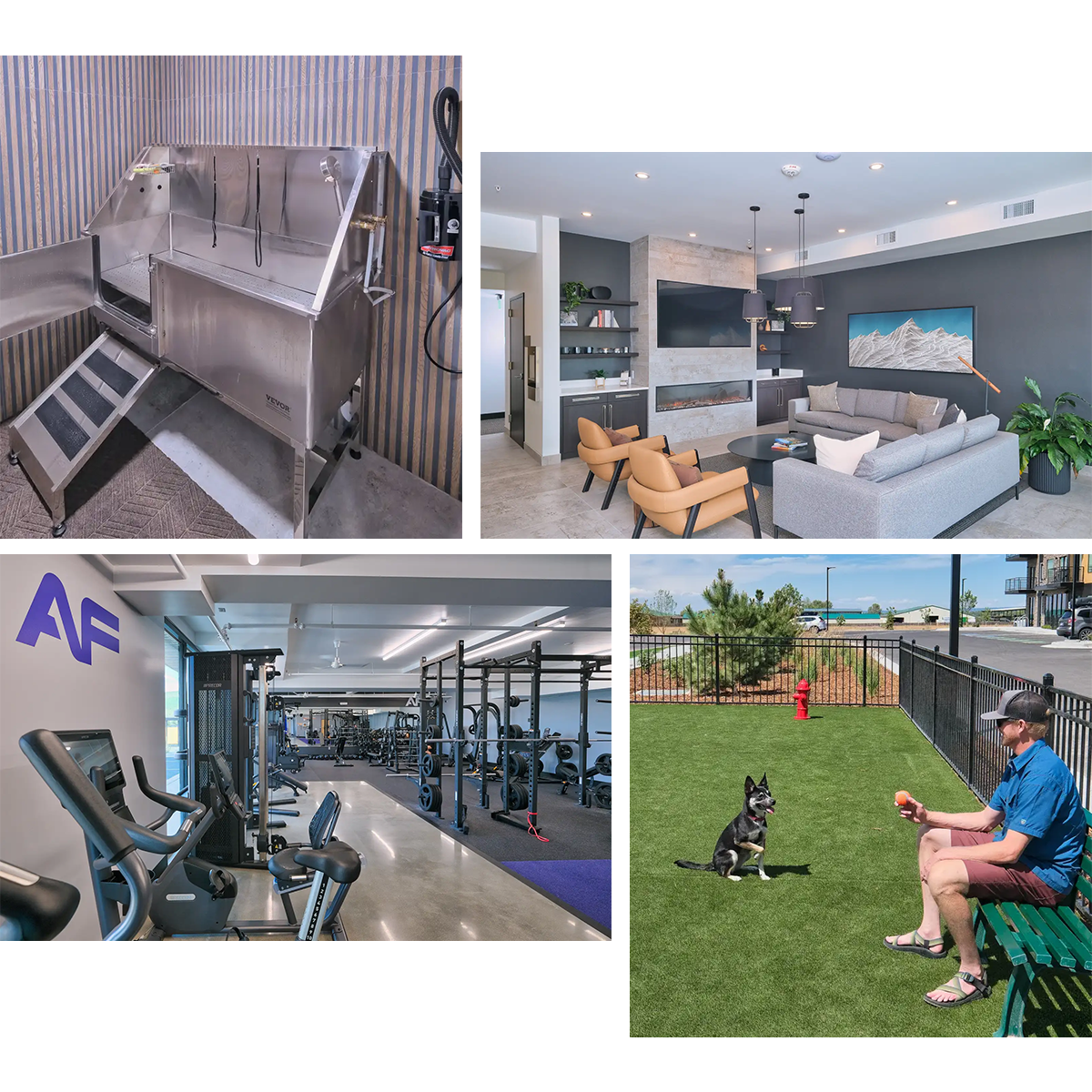 The Larkspur amenities