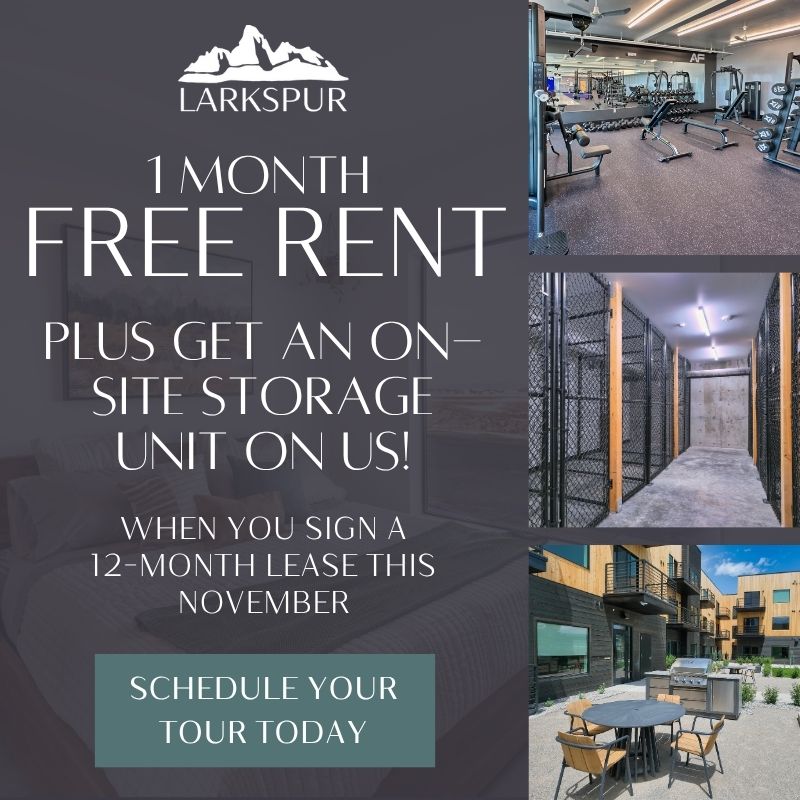November promotion - one month free with free storage unit