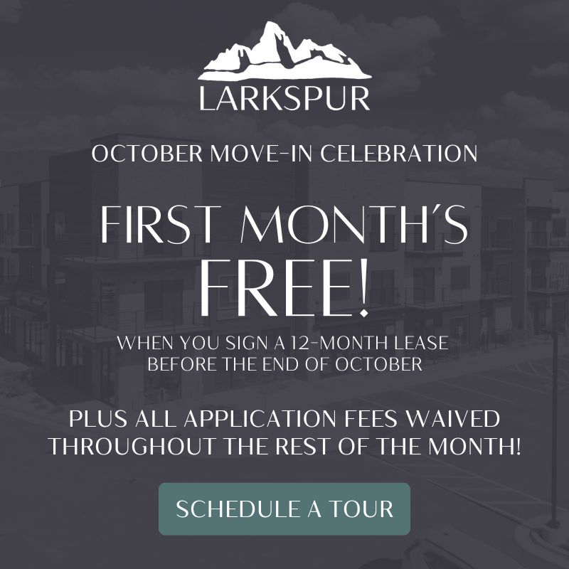 october promotion first months free