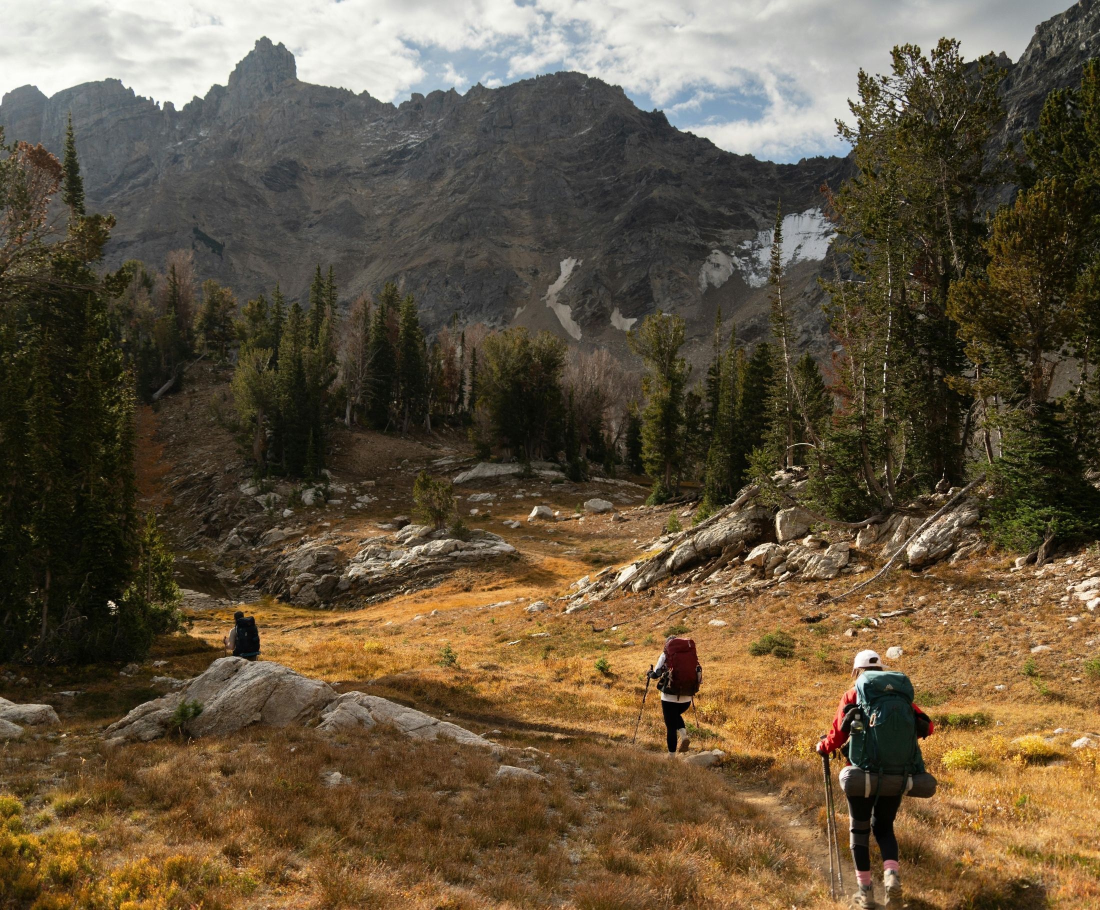Hiking Trails Near The Larkspur