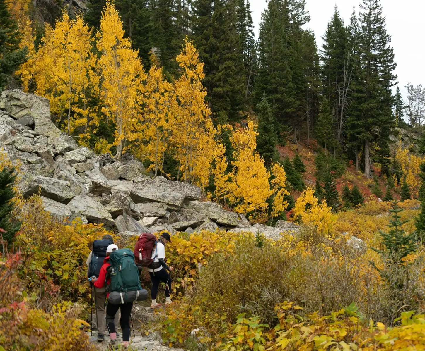 hiking near jackson apartment rental
