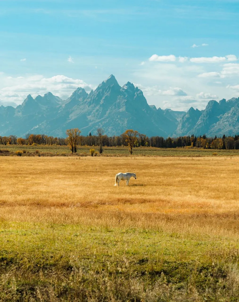 view of teton mountains